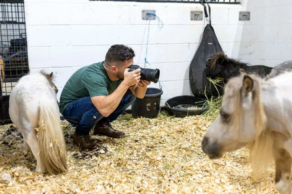 Team Maven photographing baby horses | Equine | Maven Photo and Film | Ocala, Florida
