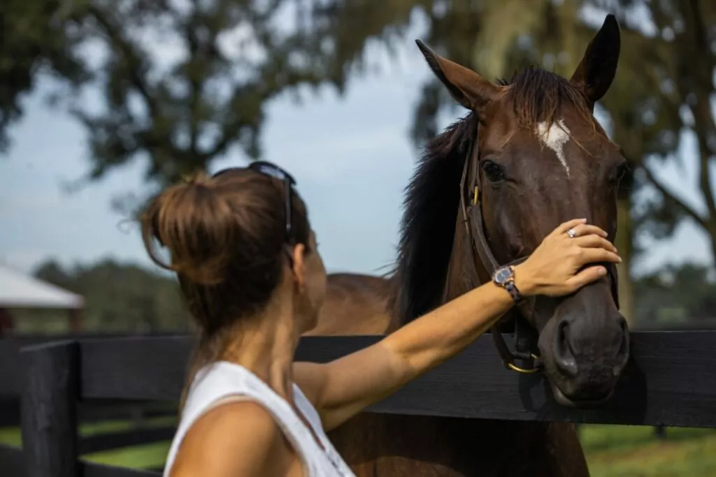Horse being pet by owner | Equine | Maven Photo + Video | Ocala, Florida