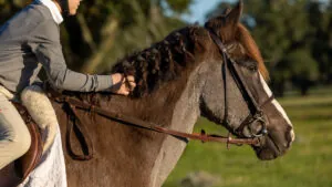 close up of riding a horse