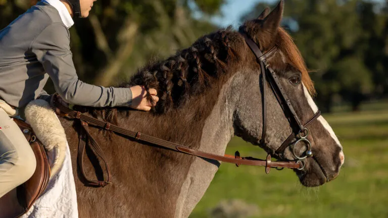 close up of riding a horse